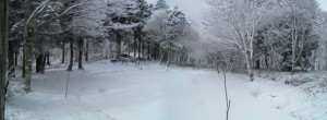 中津山