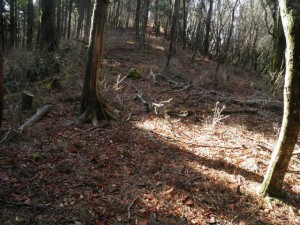 阿波国見山
